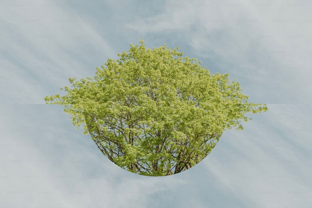 https://aliypic.oss-cn-hangzhou.aliyuncs.com/Uploadfiles/20240829/6386051878742824777293920.jpg